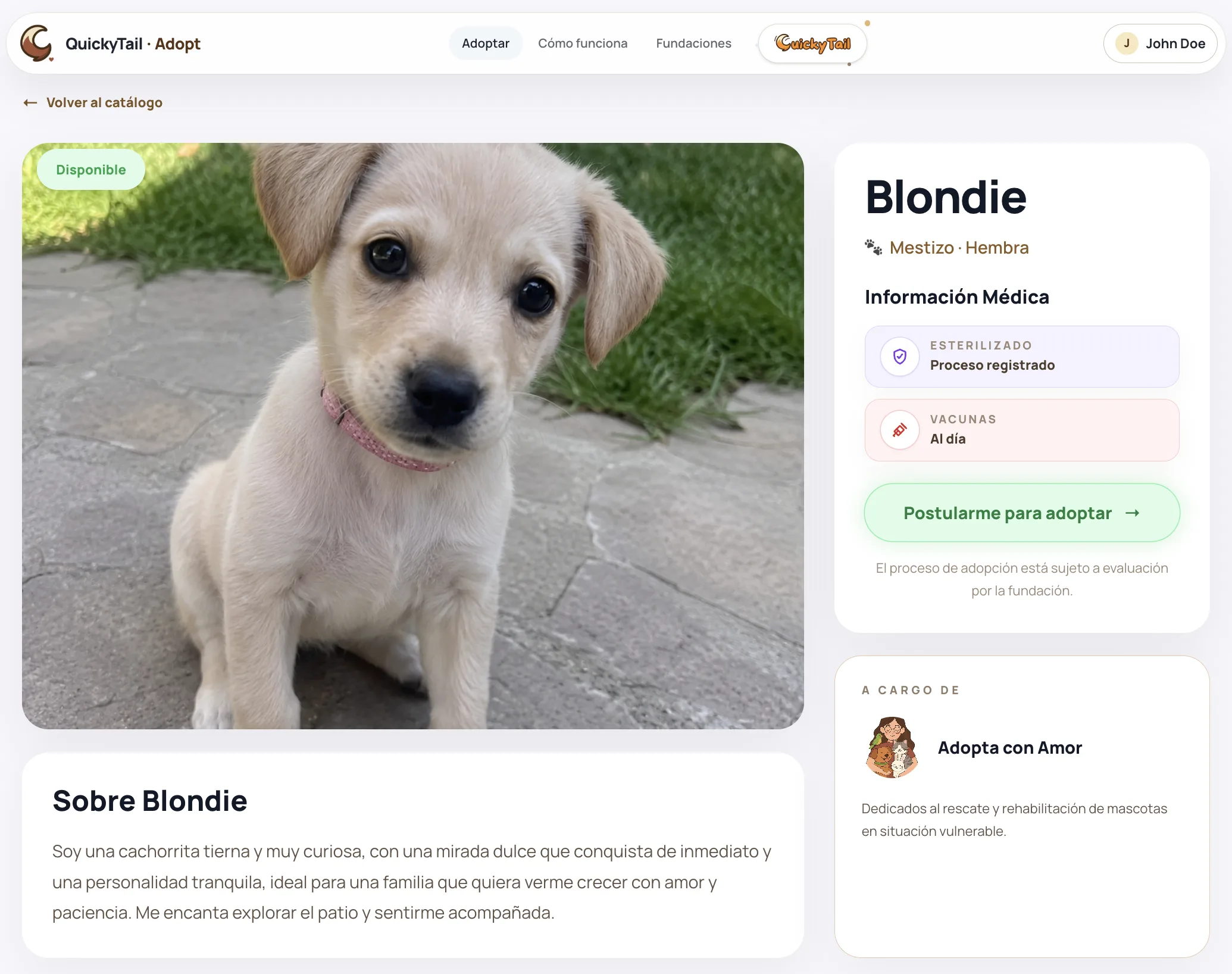 Ficha pública real de una mascota disponible para adopción