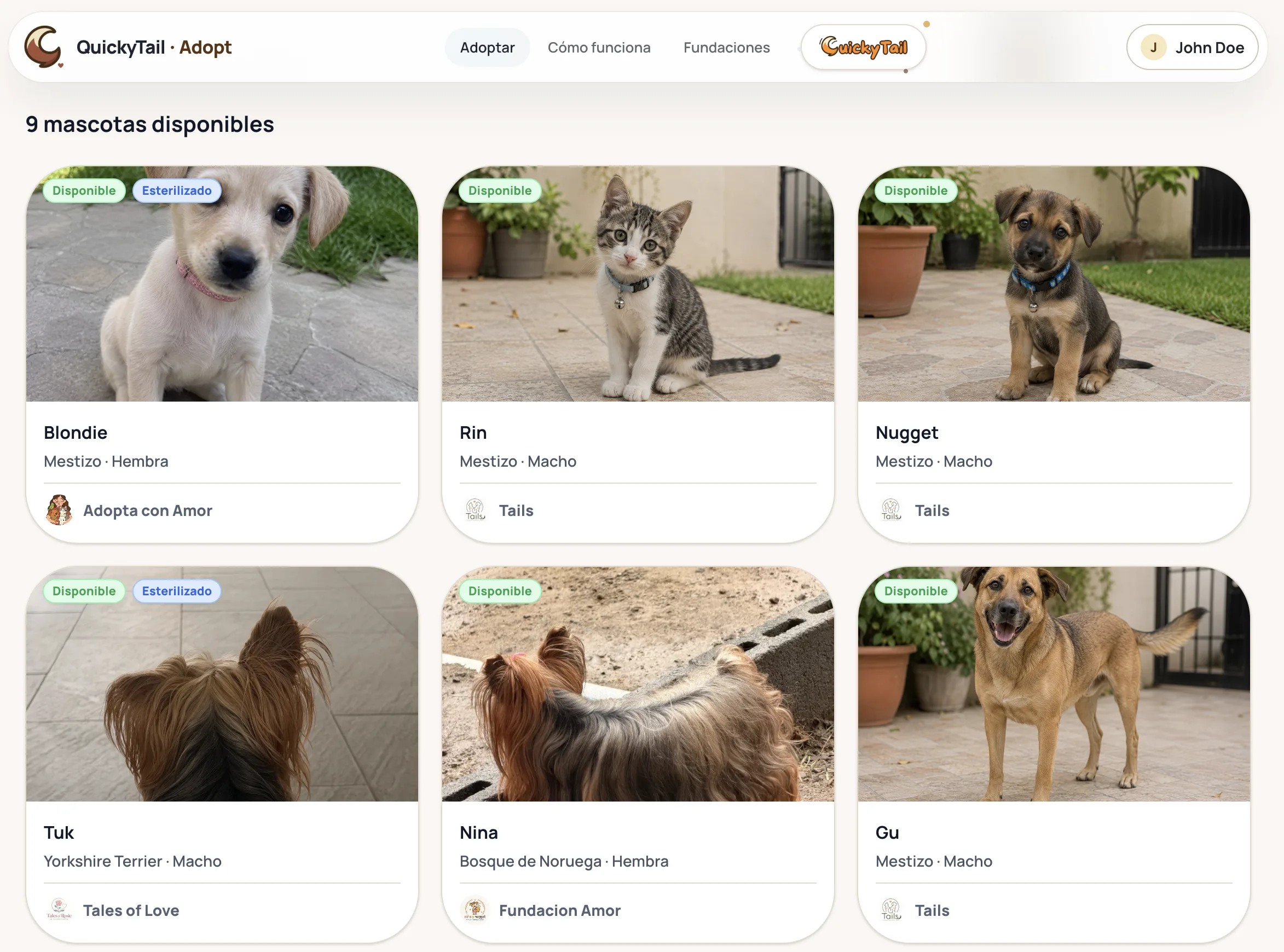 Catálogo público real de mascotas disponibles para adopción en QuickyTail